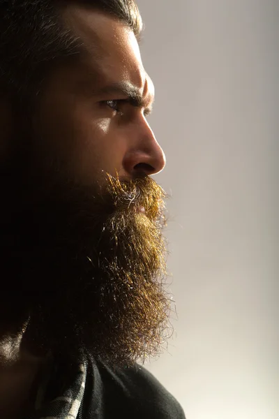 Bearded man in studio — Stock Photo, Image