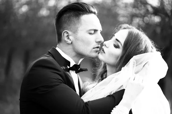 Beijar casal de casamento — Fotografia de Stock