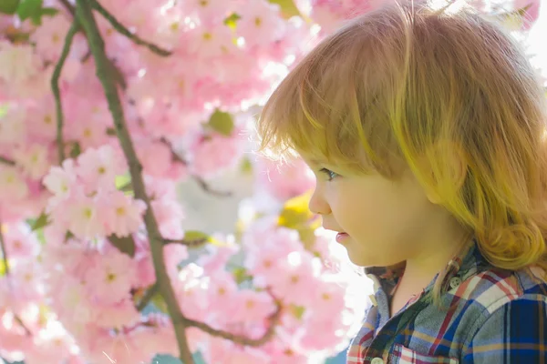 Niño en flor. —  Fotos de Stock