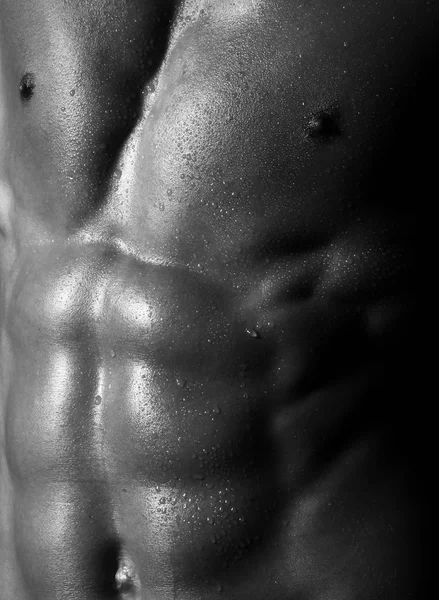 Torso muscular masculino — Fotografia de Stock