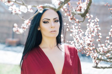 Çiçek açan kayısı kadınla