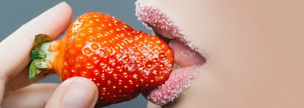 Samičí cukrové rty kousají červenou jahodu — Stock fotografie
