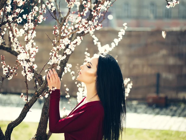 Donna con albicocca in fiore — Foto Stock
