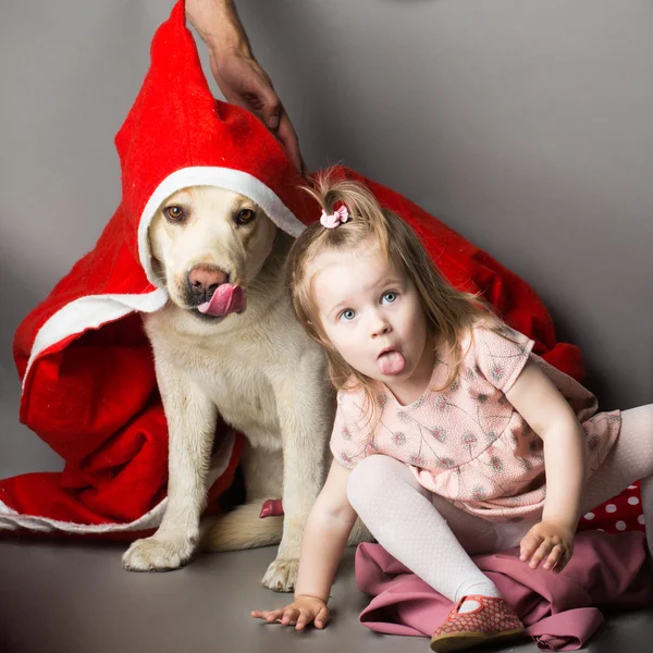 Christmas little girl with labrador dog — Stock Photo, Image