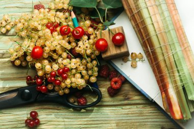 Kuş üzümü, boş defter ve makas yığını
