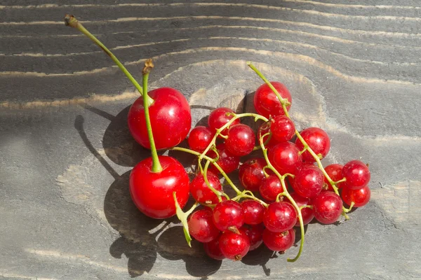 Red berries on the wood — Stock Photo, Image