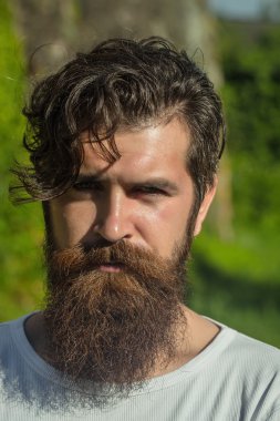 yakışıklı sakallı adam güneşli açık