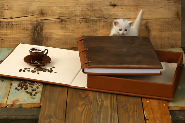Kätzchen mit Kaffeebohnen in Tasse und Buch — Stockfoto