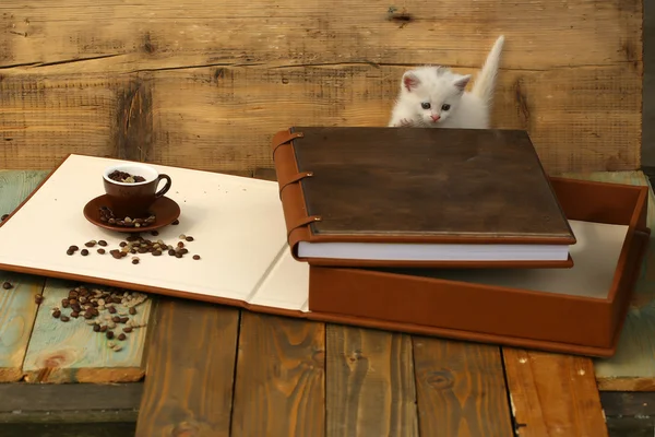 Gatinho com grãos de café em xícara e livro — Fotografia de Stock