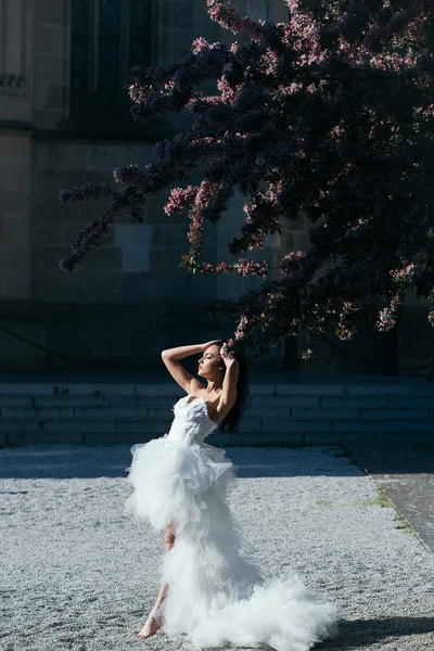 Matrimonio donna sexy con albero in fiore — Foto Stock