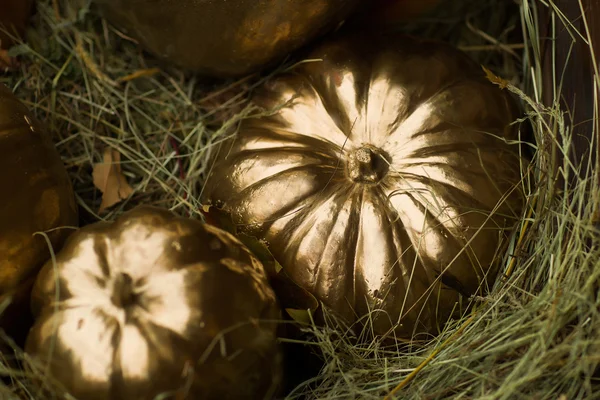 Golden halloween pumpkin on straw heap — Stock Photo, Image