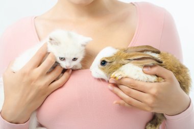 Küçük tavşan ve yavru kedi