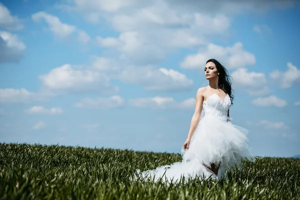 Mooie bruiloft meisje op het groene gras en hemel — Stockfoto