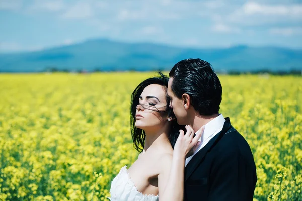 Свадебная пара в поле желтые цветы — стоковое фото