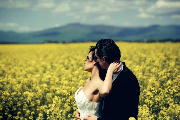 필드 노란색 꽃에 결혼식 한 쌍 — 스톡 사진
