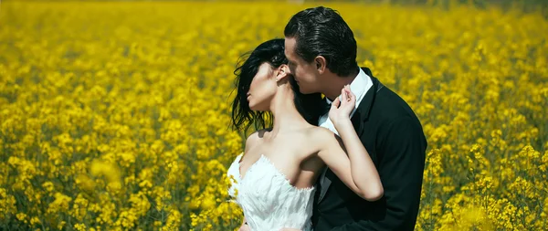 Casal de casamento no campo flores amarelas — Fotografia de Stock