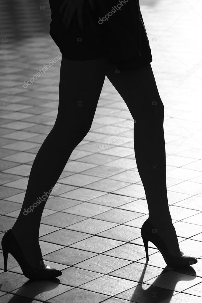 Female legs in stylish shoes