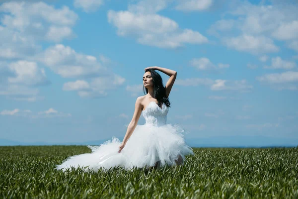 Menina bonita casamento na grama verde e céu — Fotografia de Stock