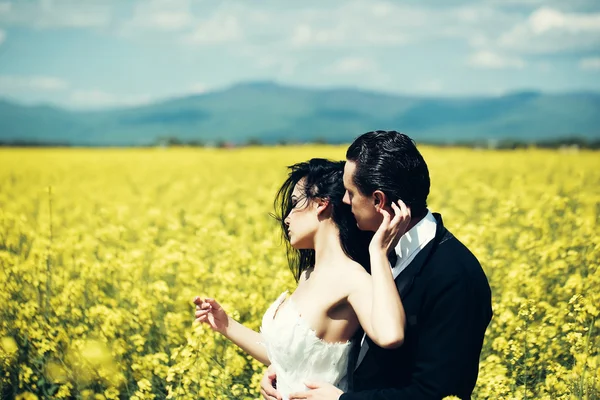 新婚夫妇在领域黄色花 — 图库照片