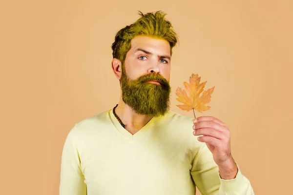 Gente de otoño. Hombre de moda con hojas de arce amarillo sobre fondo amarillo. El otoño se va. Hombre de otoño con estado de ánimo otoñal. — Foto de Stock