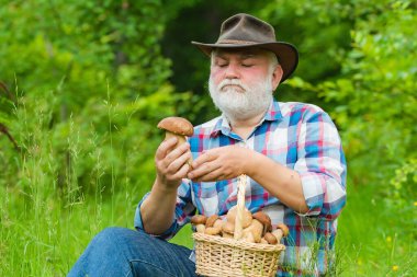 Mantar kovasında mantar avlayan büyükbaba. Bir sepet mantarlı ve şaşırmış bir yüz ifadesi olan emekli..