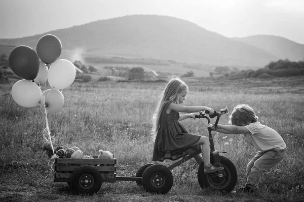 Childhood concept. American farm life. Springtime on the ranch. Two young farmers. Childhood on countryside. Active children concept. Ecology concept child. Toddler age. — Stock Photo, Image