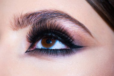 Makyajlı gözler. Makyaj yakın çekim. Uzun kirpikleri vardı. Güzellik salonu. Güzel makro kadın gözü, uzun kirpikleri ve dumanlı makyajı var. Mükemmel kaşlar. Kozmetik ve moda görüntüsü.