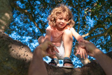 Baba oğlunun ağaca tırmanmasına yardım ediyor. Ağaca tırmanan tatlı çocuk. Çocuk koruma. Ebeveyn, çocuğun elini tutar..