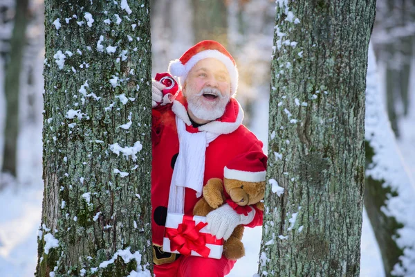 Père Noël dans la forêt de neige de Noël. — Photo