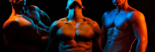 Набір м'язових чоловіків м'язи тіла і плечей. Сексуальні геї з м'язами . — стокове фото