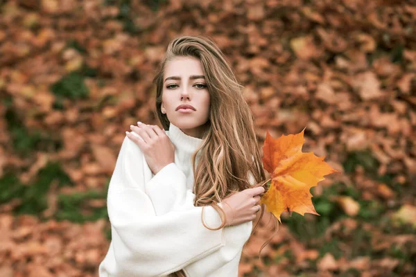 Відкрита модна фотографія молодої красивої жінки на осінньому листі . — стокове фото