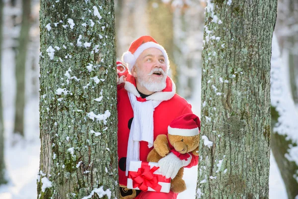 Heureux grand-père livrer des cadeaux. Père Noël en costumes de Noël dans la montagne enneigée d'hiver. Nouvel An et Noël arrive. — Photo