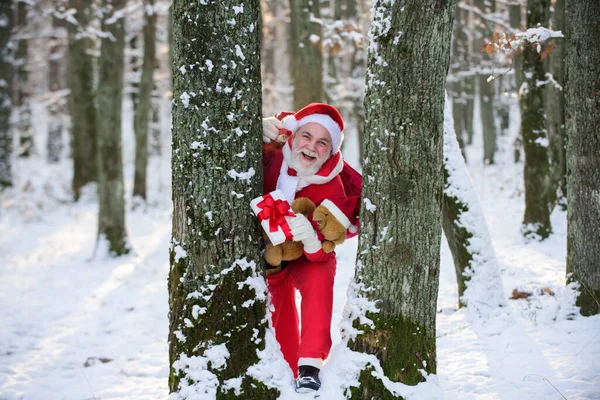 Santa Claus viene en el bosque de nieve Navidad. —  Fotos de Stock