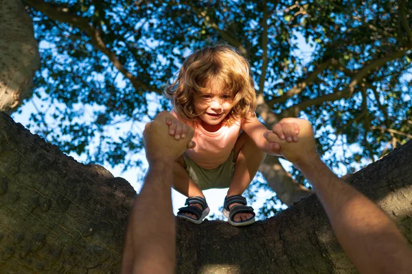 Criança aprendendo a escalar se divertindo no jardim ao ar livre. Explorando a natureza descoberta divertido e crescendo ao ar livre. Protecção das crianças. — Fotografia de Stock