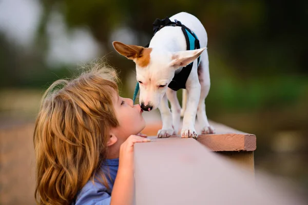 Criança encantadora com um cão andando ao ar livre. — Fotografia de Stock