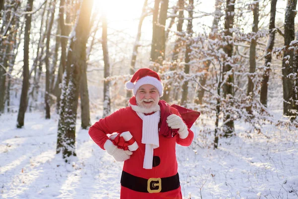 Santa Claus viene en el bosque de nieve tiene regalo. Navidad con nieve. —  Fotos de Stock