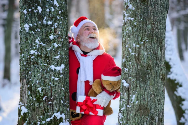 サンタは雪の中に入ってくるクリスマスの森. — ストック写真