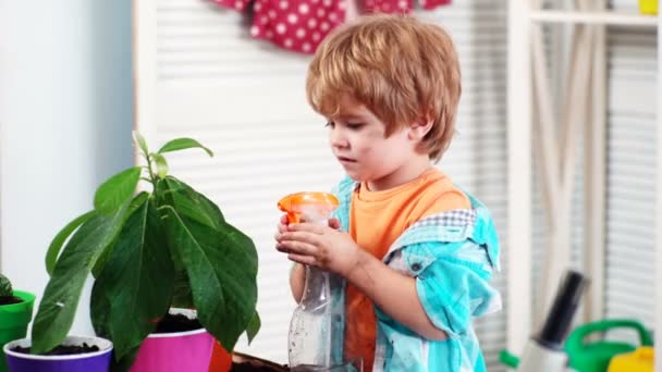 Netter Junge kümmert sich um Pflanze. Gärtnern und Pflanzen im Topf zu Hause gießen. Frühlingstag. — Stockvideo
