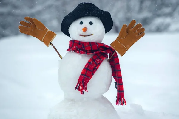 На снеговике меховая шапка и шарф. С Новым годом. Рождественский фон со снеговиком. Счастливый снеговик, стоящий в зимнем рождественском пейзаже — стоковое фото