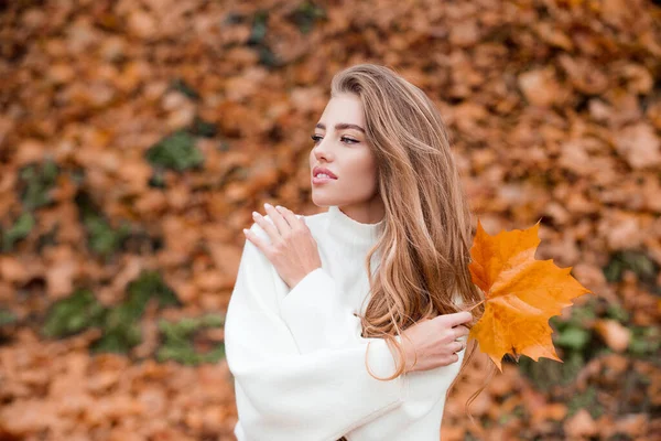 Uma mulher num parque de Outono. Senhora com uma folha. — Fotografia de Stock