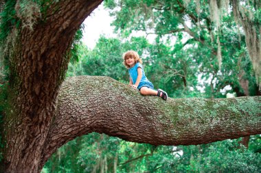 Güneşli bir günde büyük yaşlı ağaçta oturan sevimli çocuk. Çocuk ağaca tırmanıyor, açık hava yaşam tarzı konsepti. Aile ve çocuklar için sağlık sigortası konsepti.