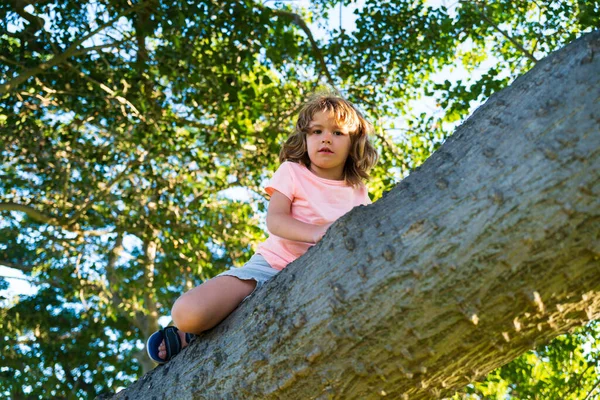 Petit joli garçon enfant grimpant à l'arbre dans le parc. — Photo