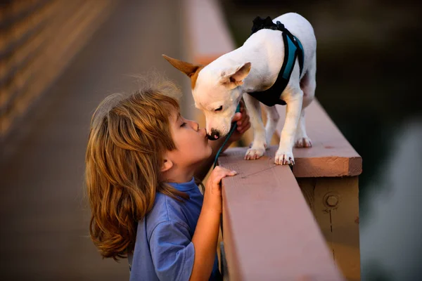 Criança com cachorro de estimação. Rapaz beijando cão. — Fotografia de Stock