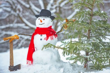 Ormanda yeni kesilmiş Noel ağacı olan bir kardan adam. Genç kardan adam oduncusu, beyaz kar arka planında köknar ağacı taşıyor..