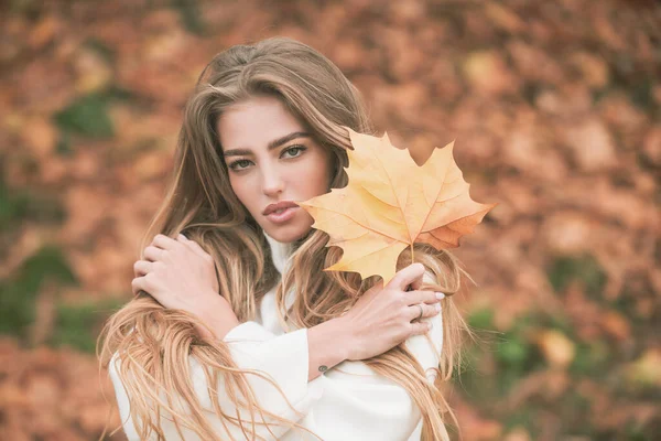 Moda mulher bonita modelo posando sobre folhas amarelas fundo. — Fotografia de Stock