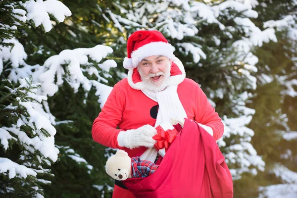 モミの雪の枝に巨大な赤い袋を持つサンタクロース。メリークリスマスと大晦日のコンセプト. — ストック写真