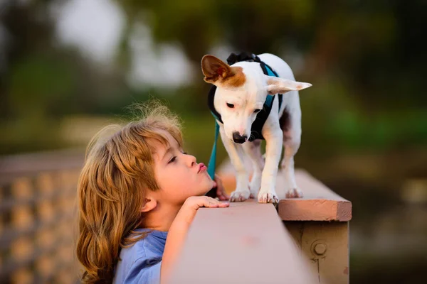 Cara de niños graciosos. Niño cariñosamente abraza y besa a su perro mascota. — Foto de Stock