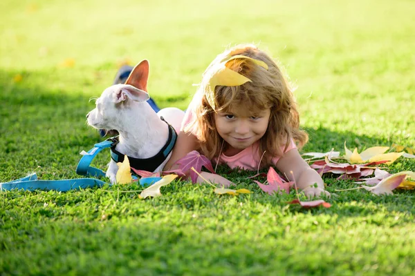 Enfant et chien dans le parc d'automne. Enfant drôle avec un chiot. — Photo