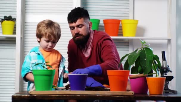 Pflanzkonzept für Kinder. Kleine Helfer und Papas mit Gartengeräten. Vater lehrt kleinen Sohn Pflanzen pflegen. Glückliche Vaterschaft. — Stockvideo