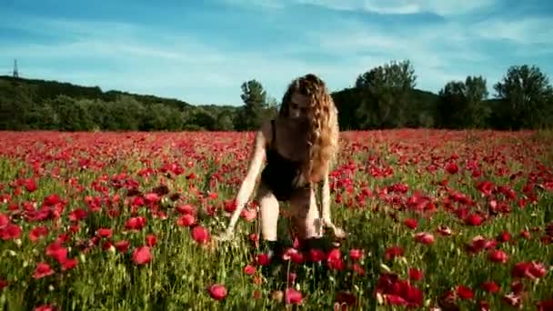 Όμορφο κορίτσι σε ένα χωράφι με παπαρούνες. Ελευθερία στη φύση. Νεαρή γυναίκα περπατά στο λιβάδι της άνοιξης. — Αρχείο Βίντεο